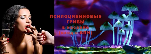 apvp Армянск