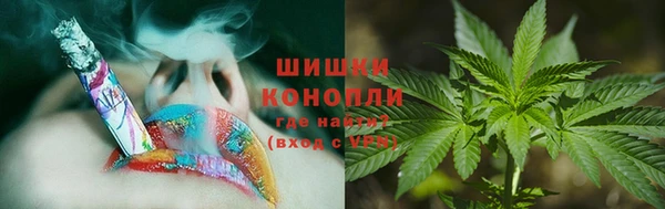 СК Козловка