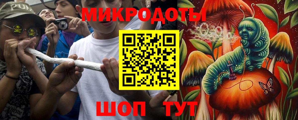 Псилоцибиновые грибы Cubensis Каспийск